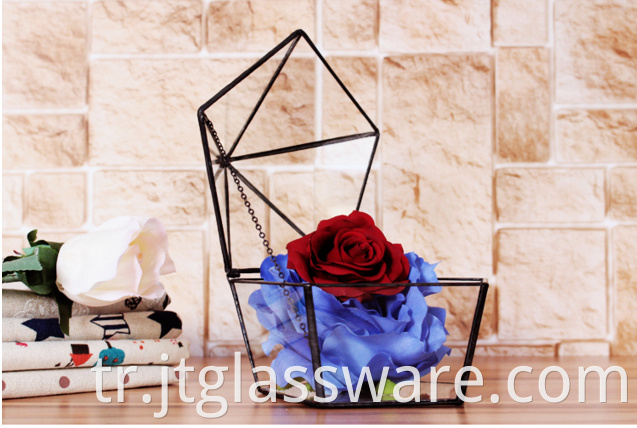 Home Decoration Geometric Glass Terrarium Wholesale